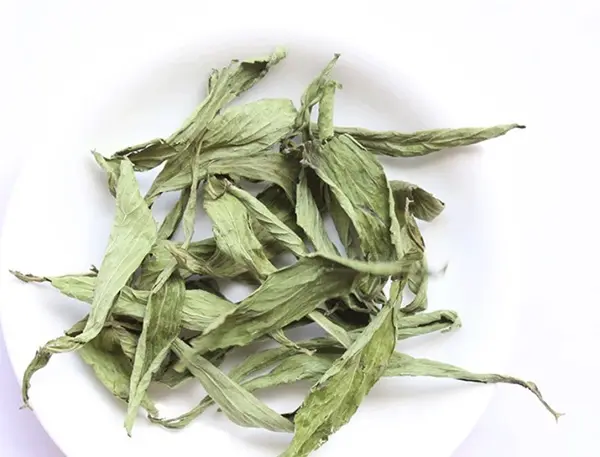 Lá cỏ ngọt có độ ngọt cao gấp 300 lần so với đường mía nhưng nó lại không làm tăng đường huyết