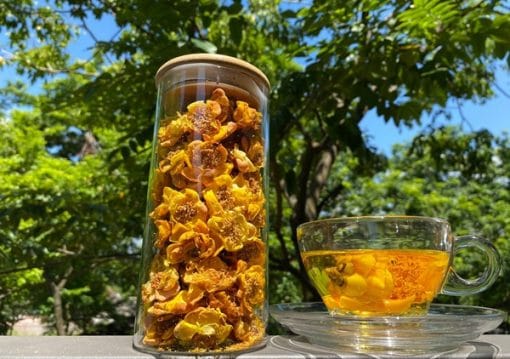Trà hoa vàng khô loại xịn có giá từ 15 - 17 triệu VNĐ/ kg